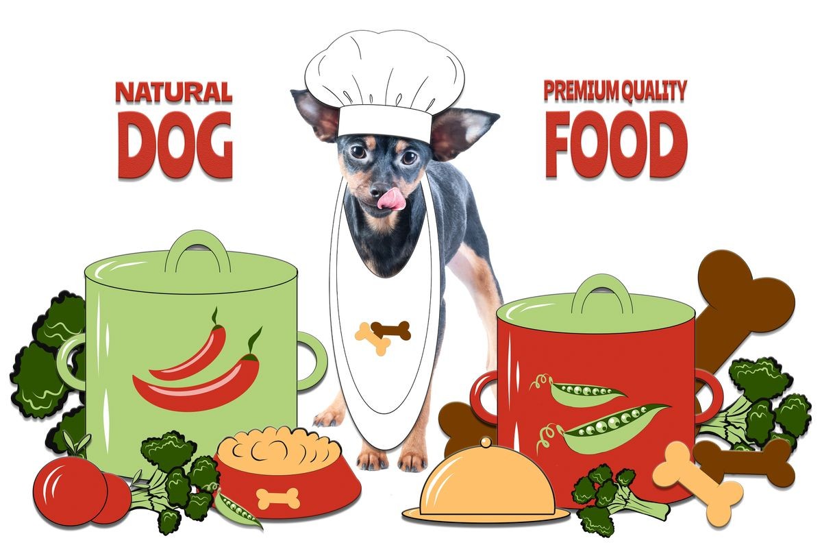 Dogs food concept, healthy pet food. Cooked with love. Photo and illustration, cartoon style. Photo of a dog cooking around cooking utensils, dishes and food.